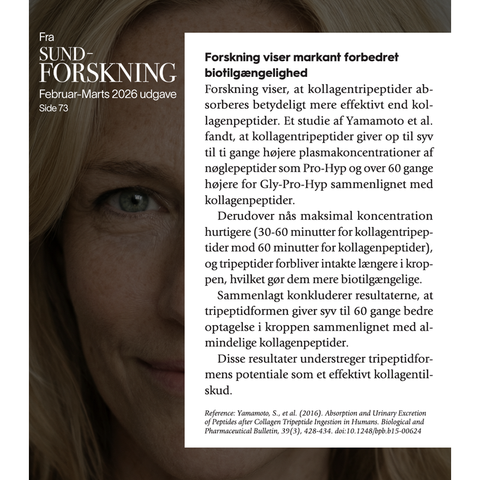 Collagen Tripeptides